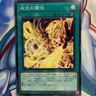 【N】双天の調伏 1枚 PHRA-JP059