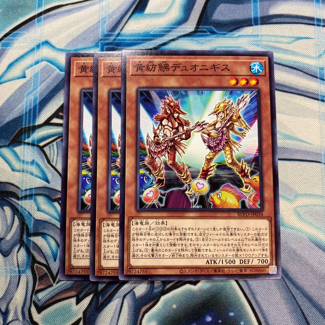 黄紡鮄デュオニギス N