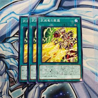 武装竜の震霆 N