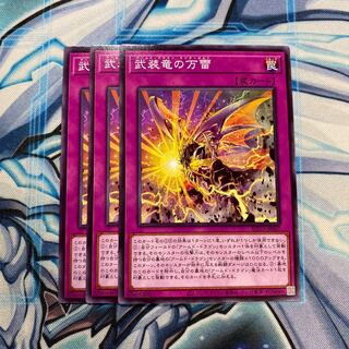 武装竜の万雷 N