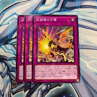 武装竜の万雷 N