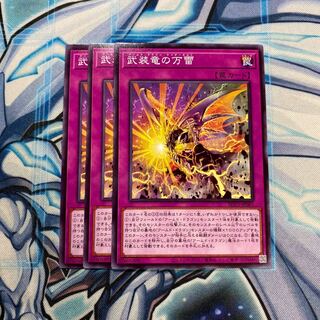 武装竜の万雷 N