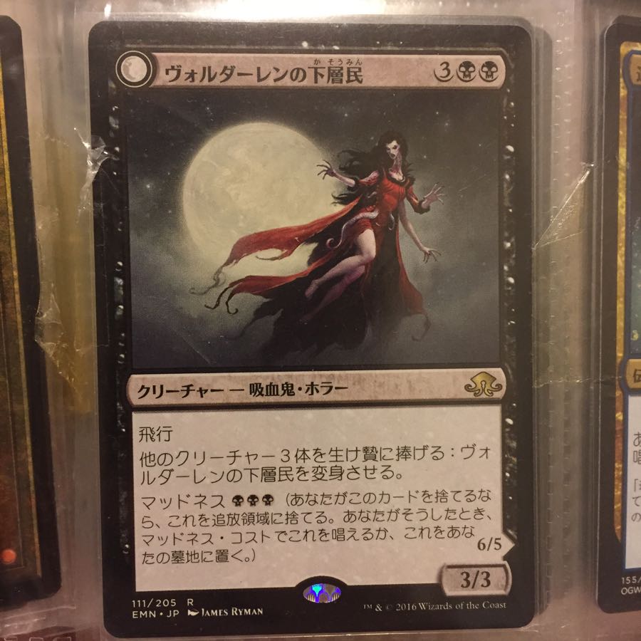 ヴォルダーレンの下層民