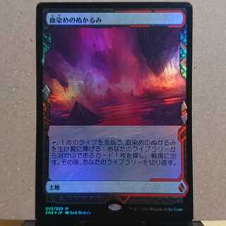 血染めのぬかるみ【ZNE】foil