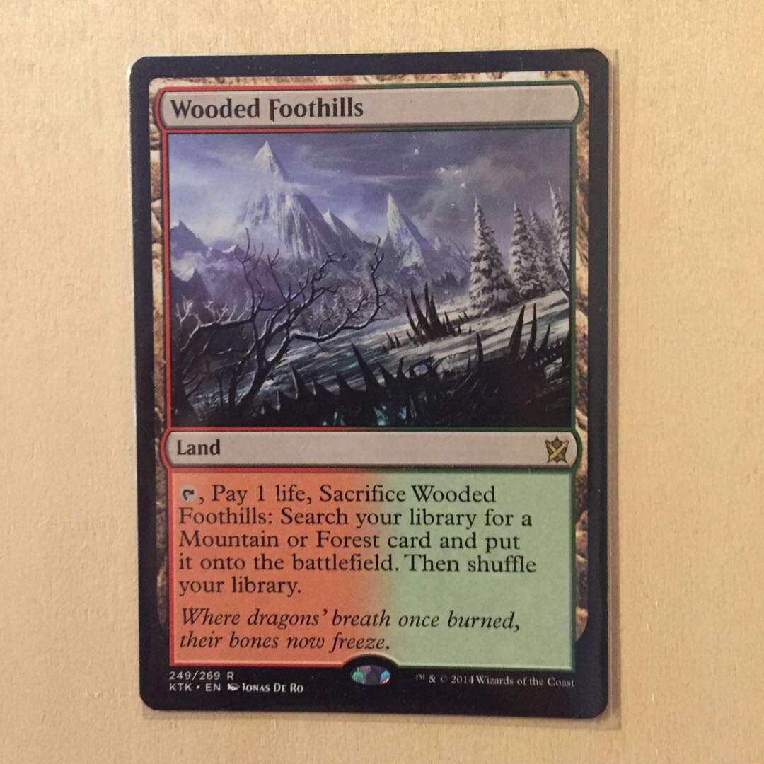 樹木茂る山麓 4枚 mtg kei様取り置き