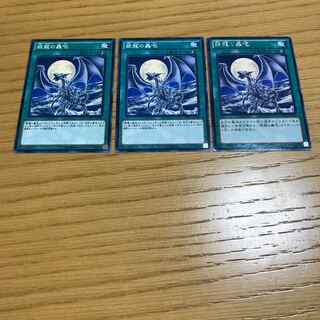 【1664603186様専用】銀龍の轟咆　3枚セット