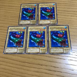 レインボー・フィッシュ ノーマル　5枚セット