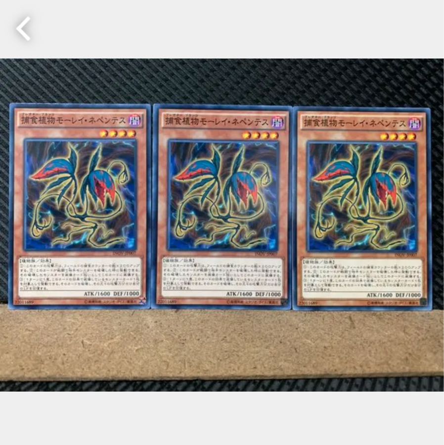【ぽぽたん】遊戯王 4916 捕食植物モーレイ・ネペンテス 3枚 ノーマル