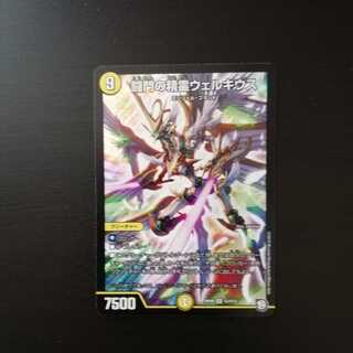 闘門の精霊ウェルキウス