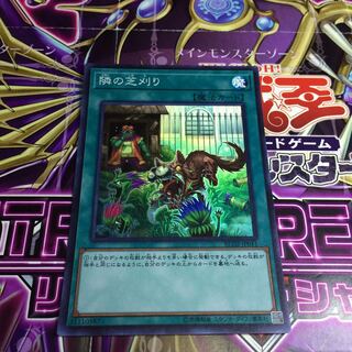 隣の芝刈り【SR】