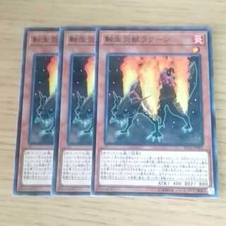 転生炎獣ラクーン