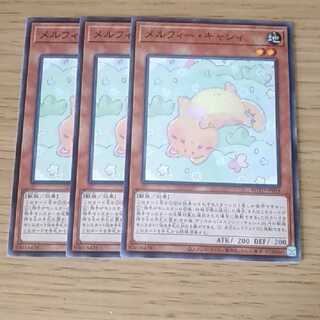 メルフィー・キャシィ