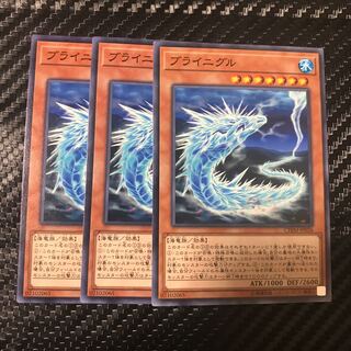 ブライニグル ノーマル