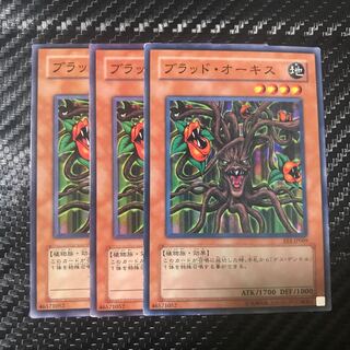 ブラッド・オーキス ノーマル