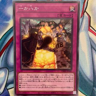 【N】一か八か 1枚 PHRA-JP080