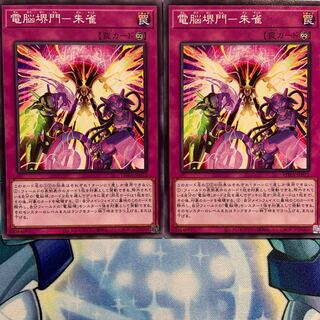 【N】電脳堺門-朱雀 2枚 PHRA-JP072