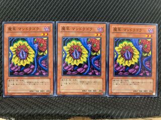 【ぽぽたん】遊戯王 6178 魔草 マンドラゴラ 3枚 ノーマル