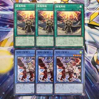 鎧竜の聖騎士セット