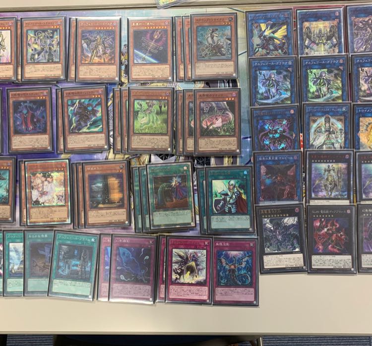 Untouched Area Orphe