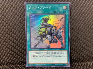 【ぽぽたん】遊戯王 -2010 クロス・ブリード スーパー