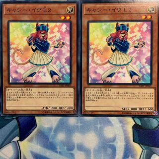 【N】キャシー・イヴL2 2枚 SAST-JP001