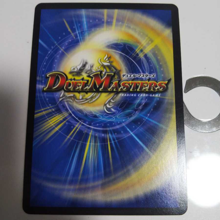 「絶対の楯騎士」