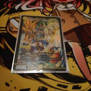 神聖龍 エモーショナル・ハードコア専用