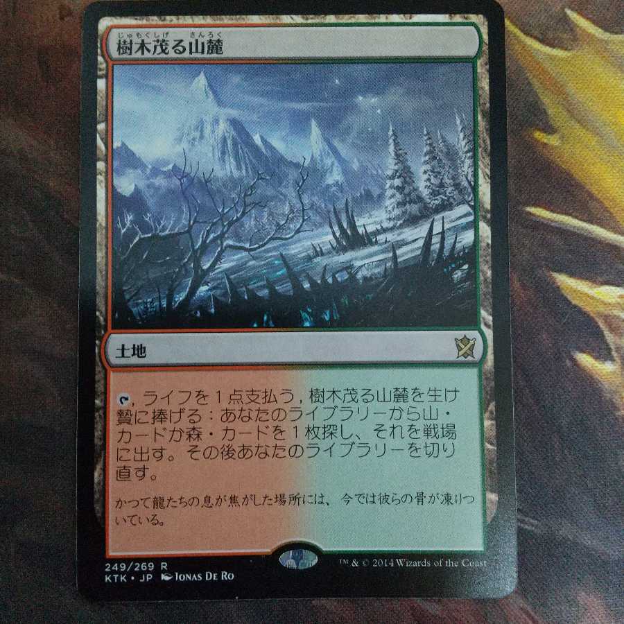 樹木茂る山麓　日　KTK