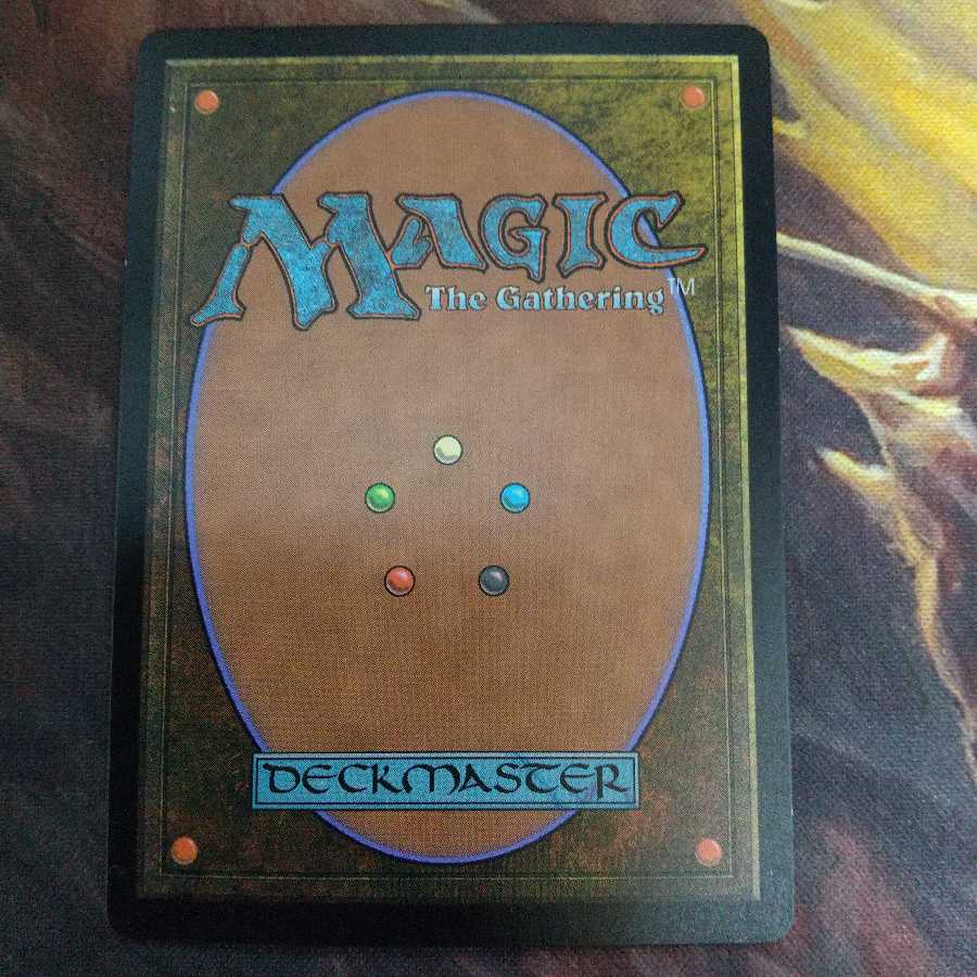 樹木茂る山麓　日　KTK