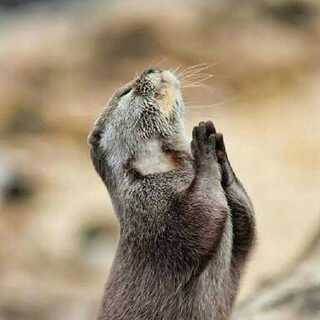 れおん@428様専用