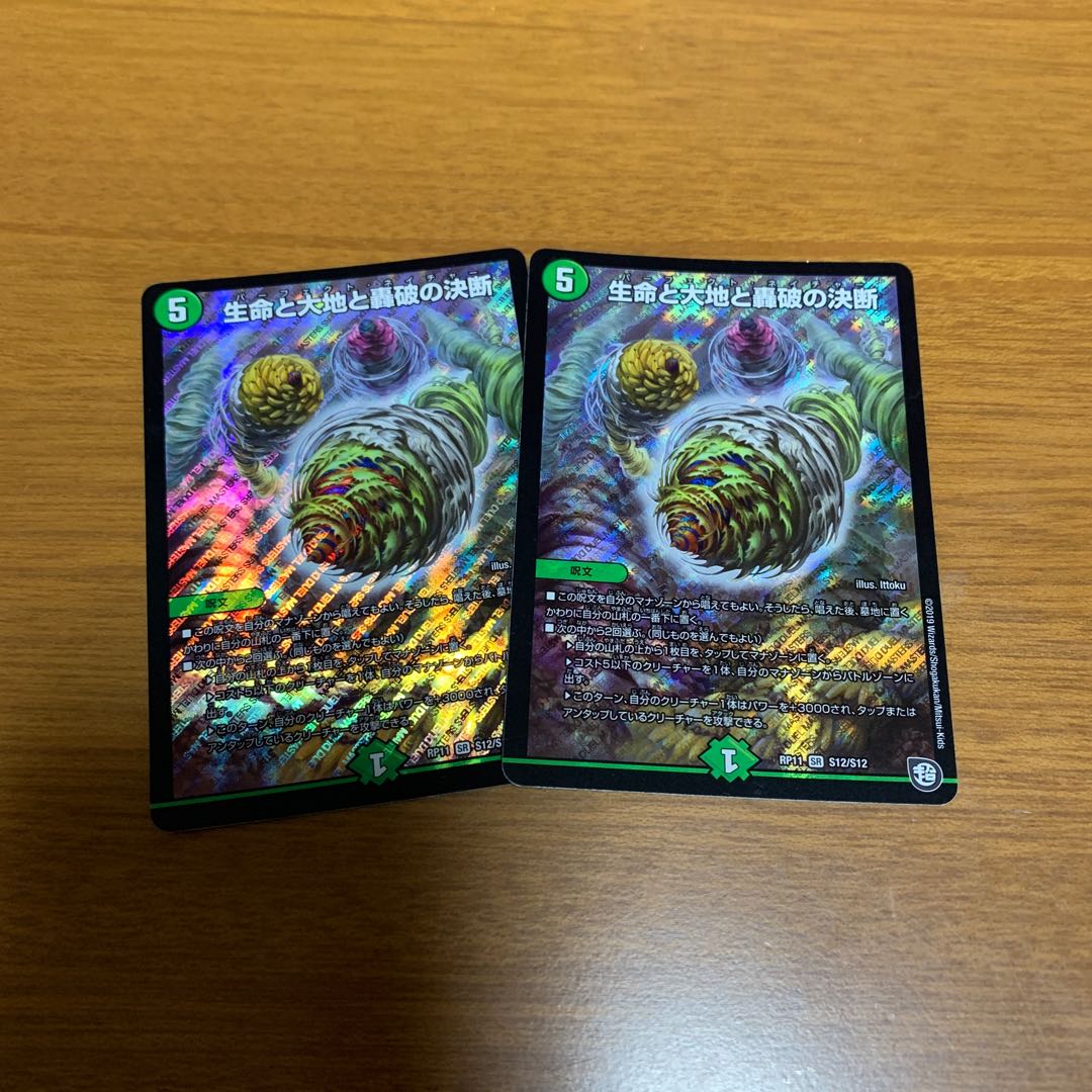 生命と大地と轟破の決断