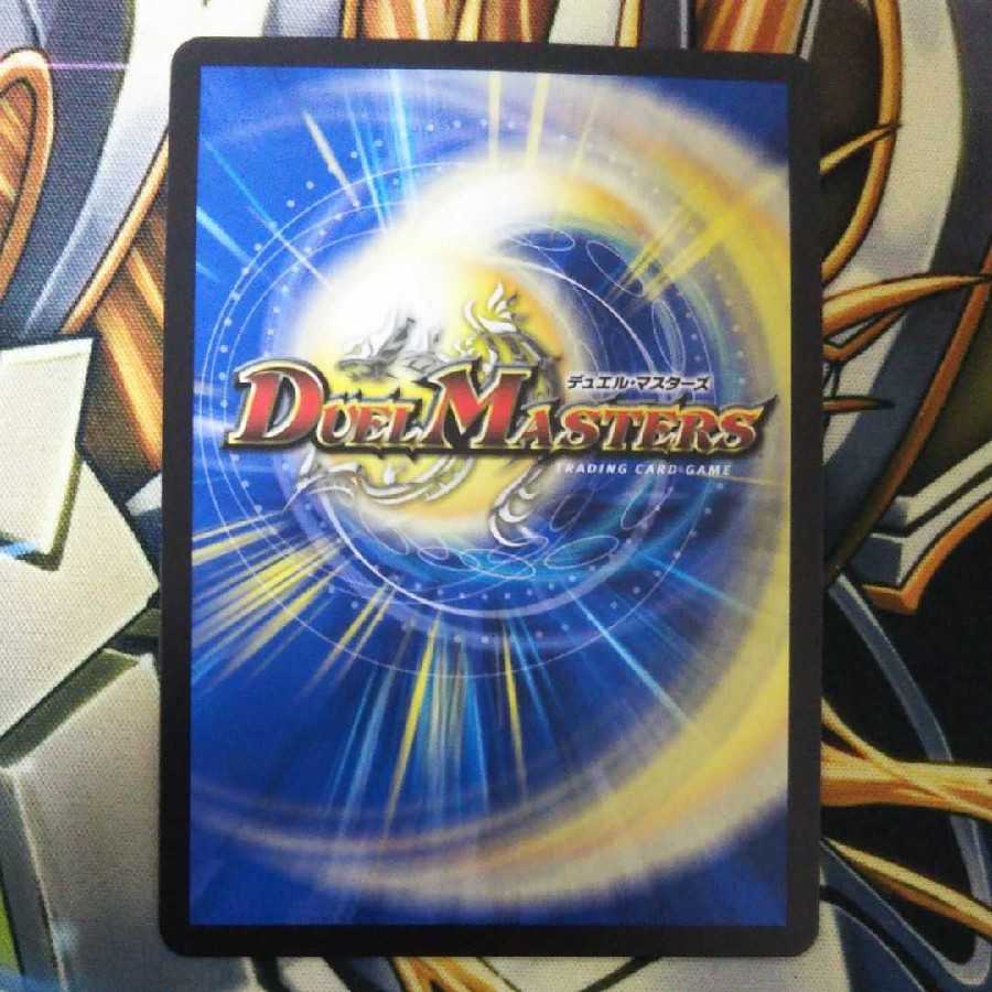 最安値!「絶対の楯騎士」 新品未使用!