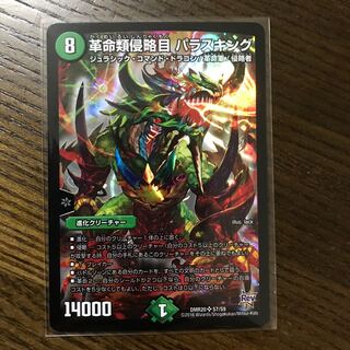 革命類侵略目パラスキング