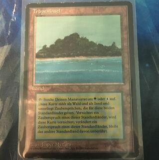 1212 トランプル様専用)黒枠 Tropical island 3ed