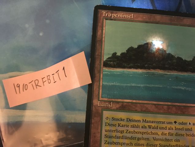 1212 トランプル様専用)黒枠 Tropical island 3ed