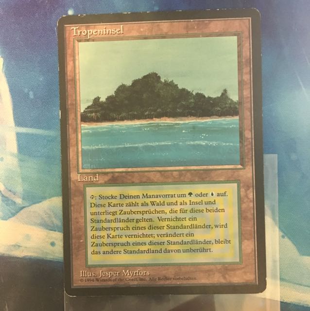 1212 トランプル様専用)黒枠 Tropical island 3ed