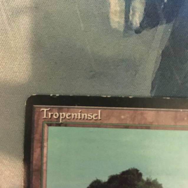 1212 トランプル様専用)黒枠 Tropical island 3ed