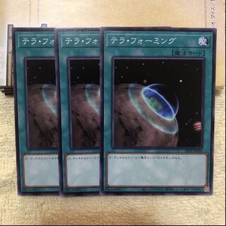 テラ・フォーミング ノーマル　3枚　マホ子