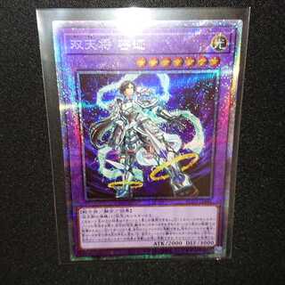 双天将 密迹 PSE