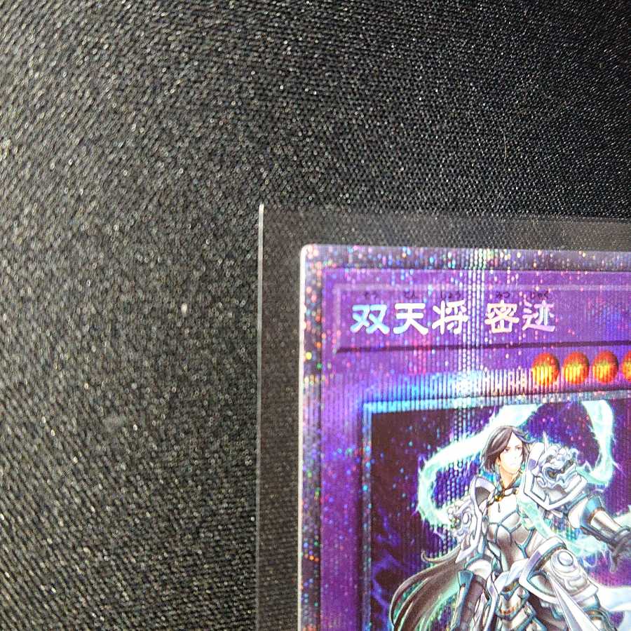 双天将 密迹 PSE