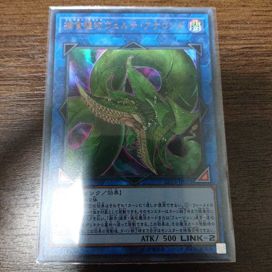 補食植物 ヴェルテ アナコンダ