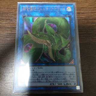 補食植物 ヴェルテ アナコンダ