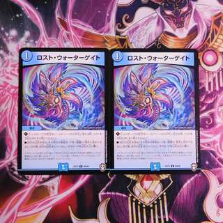 ロスト・ウォーターゲイト　２枚