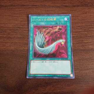 ハーピィの羽根箒 rc02