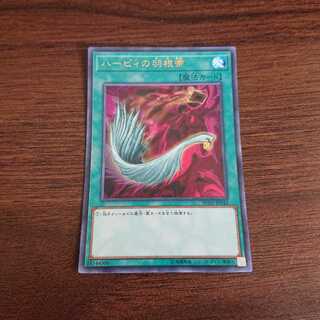 ハーピィの羽根箒 rc02