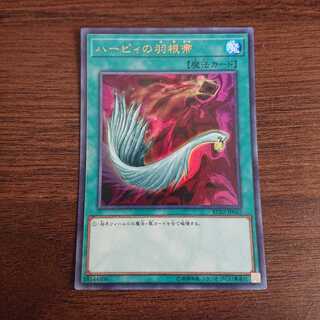 ハーピィの羽根箒 rc02