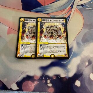 K真実の名 タイガー・レジェンド VR