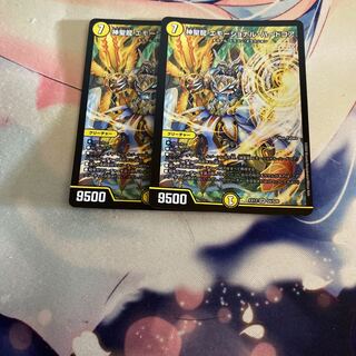 神聖龍 エモーショナル・ハードコア