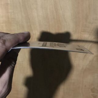 女剣士カナン 1枚