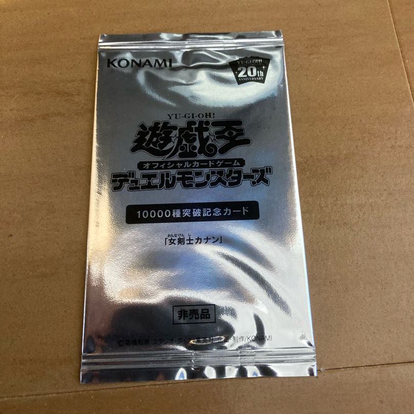 女剣士カナン 1枚